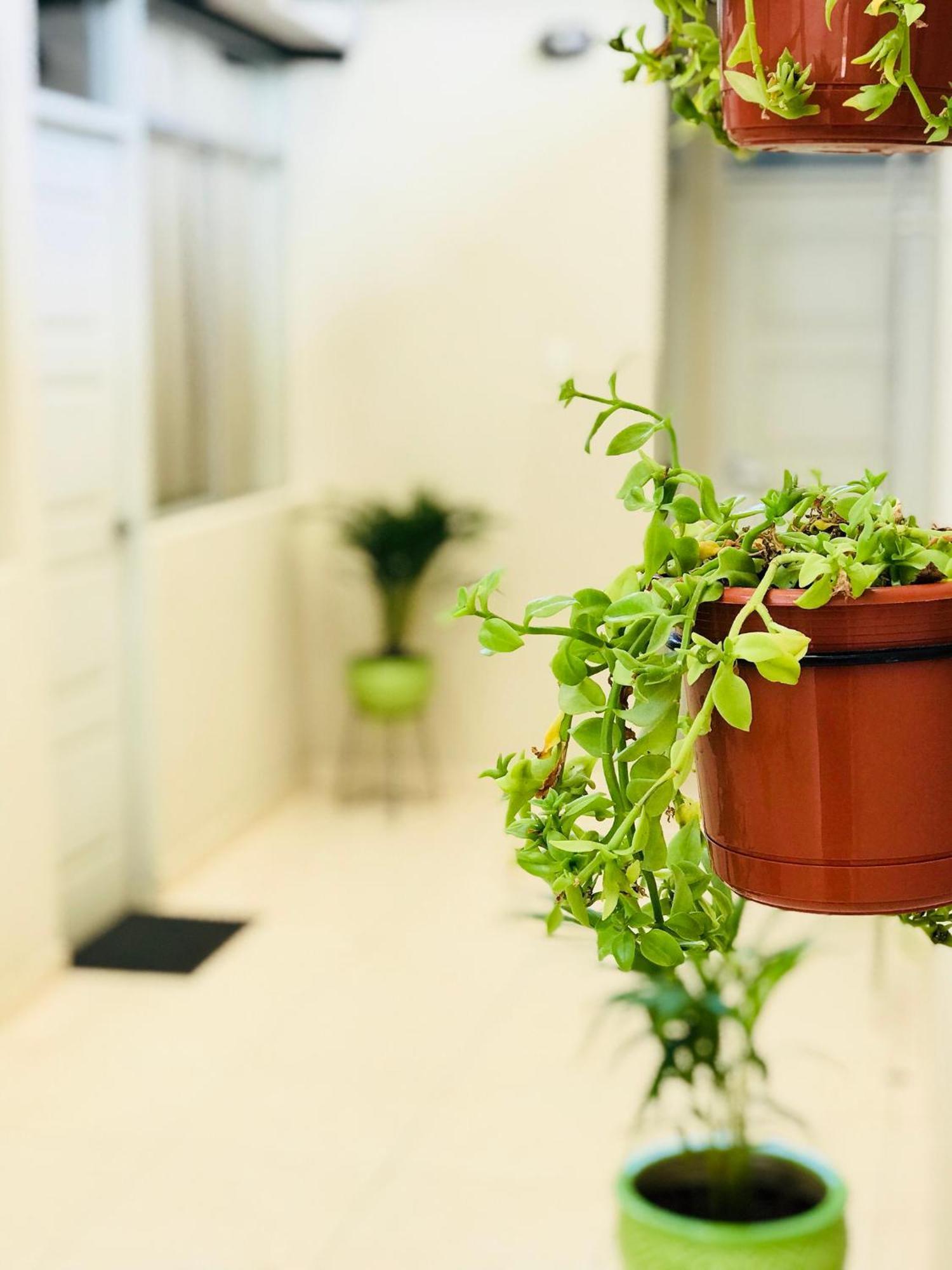 Garden House Piuraアパートメント エクステリア 写真