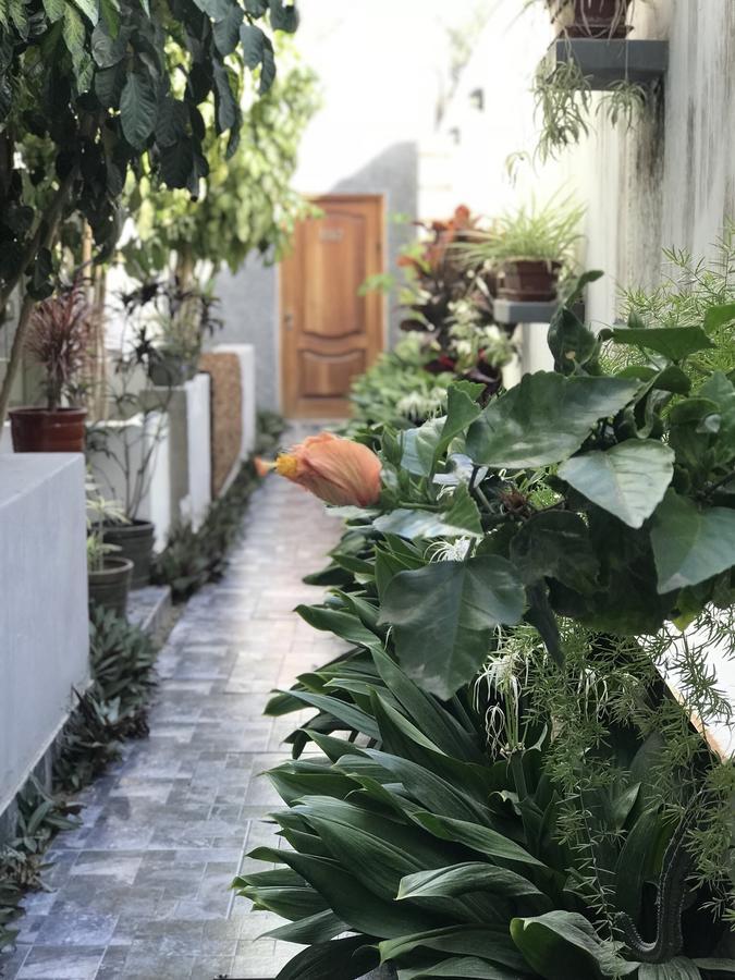 Garden House Piuraアパートメント エクステリア 写真